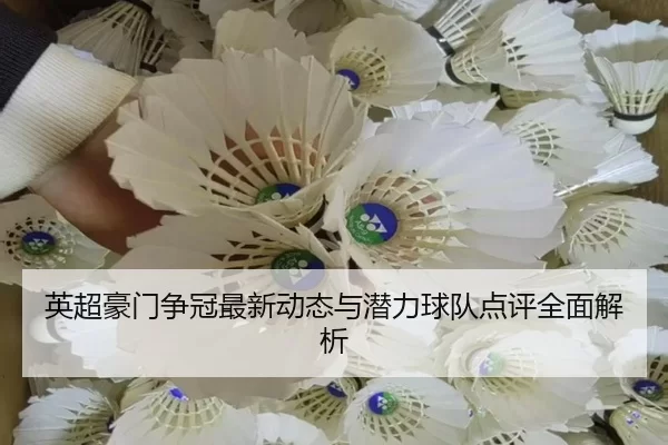 英超豪门争冠最新动态与潜力球队点评全面解析